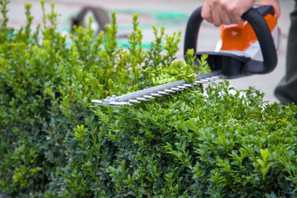 Hedge Pruning in Richland