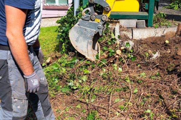 Hedge Removal Service in Richland