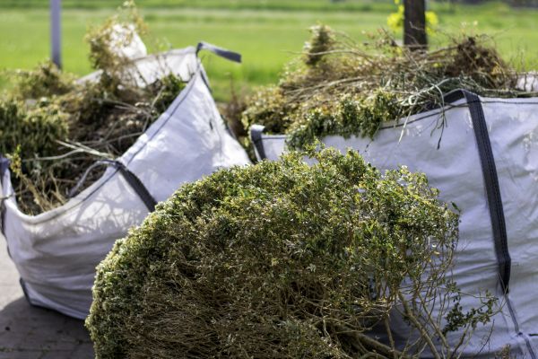 Cost of Shrubs Removal in Richland