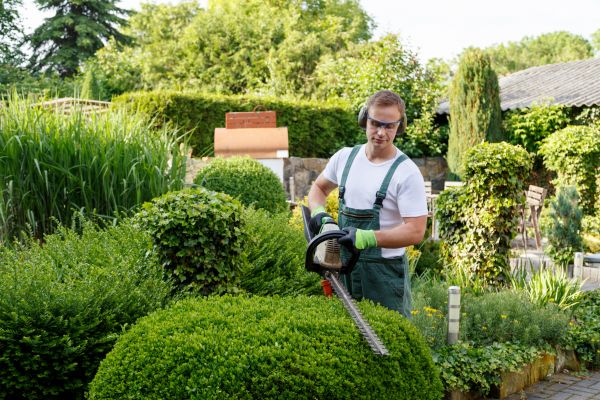 Shrubs Trimming in Richland