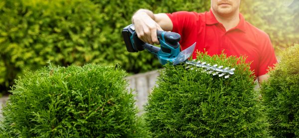 Cost of Hedge Shaping Service in Richland